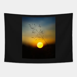 Selective focus sunset Tapestry
