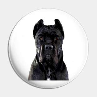 Cane Corso Dog Black Pin