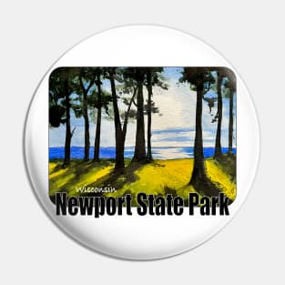 Newport State Park, Wisconsin Pin