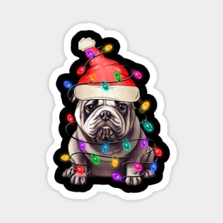 Christmas Lights Dog Merry Dogmas Magnet