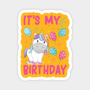 Blow Me It's My Birthday! T-Shirt Magnet