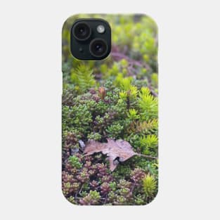 Stonecrops in Spring Phone Case