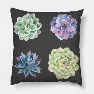 Four Succulents Pillow