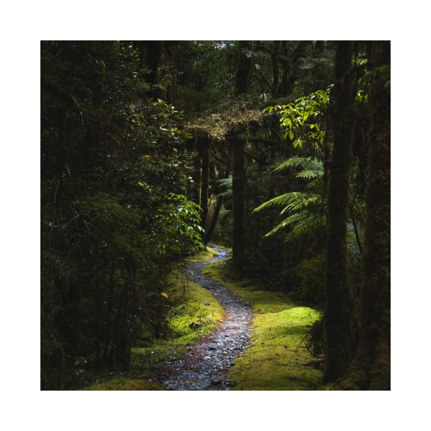 Narrow Green Forest Path in New Zealand by Danny Wanders