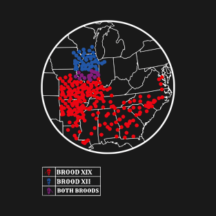 Cicada Map 2024 Cicadas Invasion Tour Brood XIX XIII 2024 T-Shirt