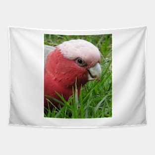 Galah Tapestry