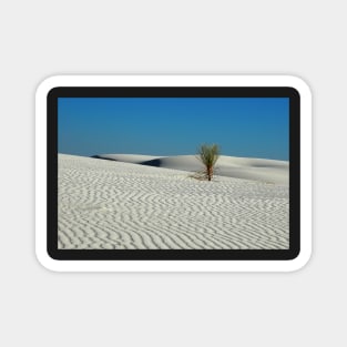 Lonely Yucca at White Sand Dunes Magnet