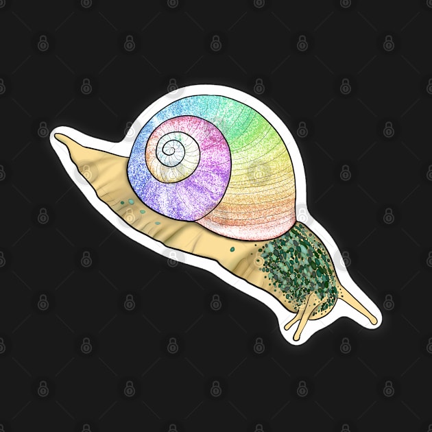 Rainbow Snail by Thelunarwoodco