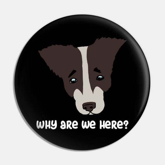 why are we here?. sad dog Pin by Karl_The_Faun