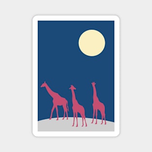 Giraffes walking in the savanna by night Magnet