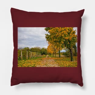 Autumn in Rural North East Italy Pillow