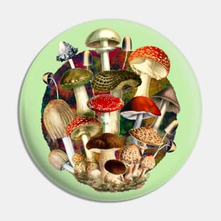 Mushroom night forest, mushroom art, mycology, multicoloured cottage core aesthetic design over a Pin