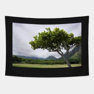 Arching tree Tapestry