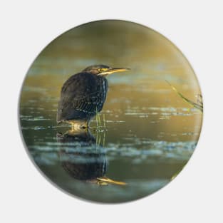 Green Heron Pin