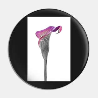 Calla Lily Single2 Pin