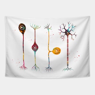 Four types of neurons Tapestry