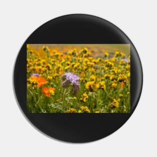 Wildflowers in Bloom Pin