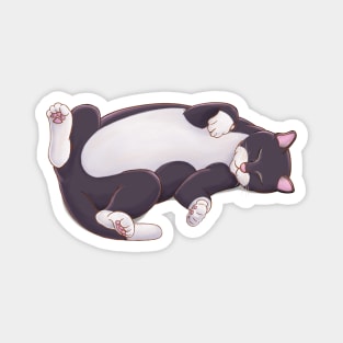 Sleepy Kitty (Tuxedo) Magnet