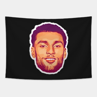 Zach LaVine Chicago Bulls Tapestry