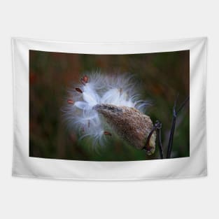 Milkweed Tapestry