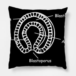 Gastrulation sketch Pillow