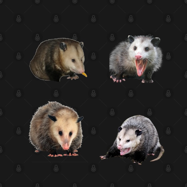 Possum Sticker Pack by CatGirl101