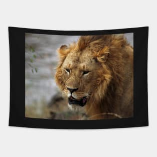 Portrait, Large Male Lion, Maasai Mara, Kenya Tapestry