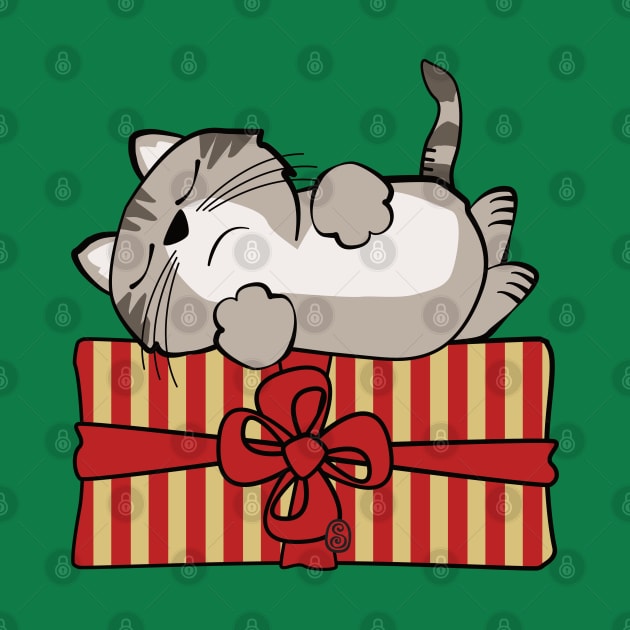 Cat on Gift Package by Sue Cervenka