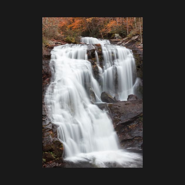 Bald River Falls by somadjinn