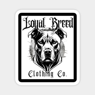 Loyal Breed OG pitbull Magnet