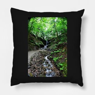 Horseshoe Falls - Munising, MI Pillow