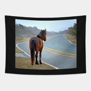 Assateague Pony Looking Down the Road Tapestry