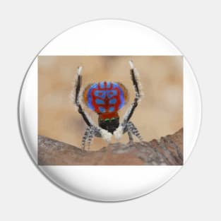 Peacock Spider Digital Painting Pin