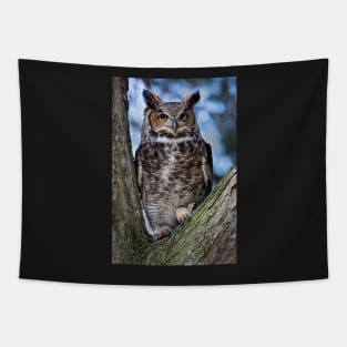 Great Horned Owl Tapestry