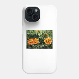 Gazania 6 Phone Case