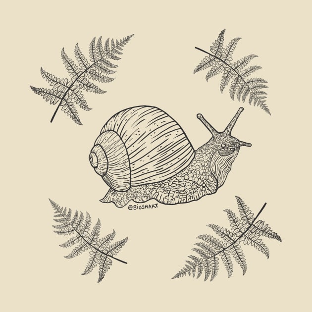 Snail with ferns by Bioshart