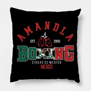 World Amandla 4.0 Pillow