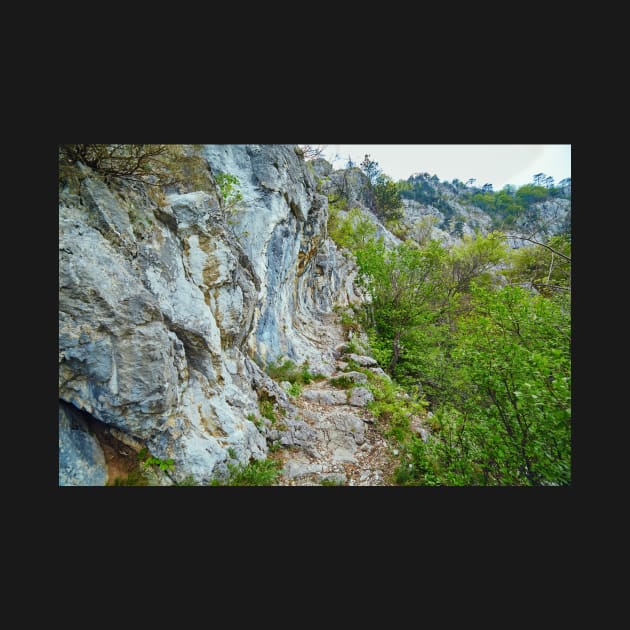 Rocky trail on mountains by naturalis