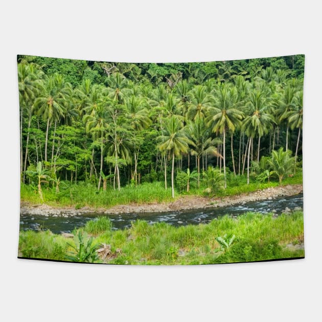 Cahulogan River, Gingoog, Misamis Oriental, Mindanao, Philippines Tapestry by Upbeat Traveler