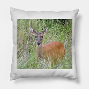 Beautiful Deer Pillow