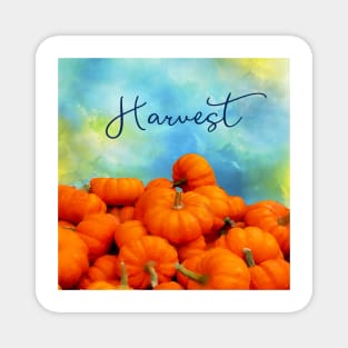 Celebrate Fall Harvest with Orange Pumpkins Magnet