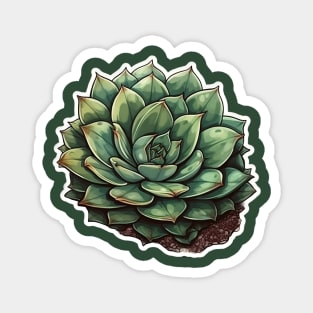 Magical Succulent Magnet