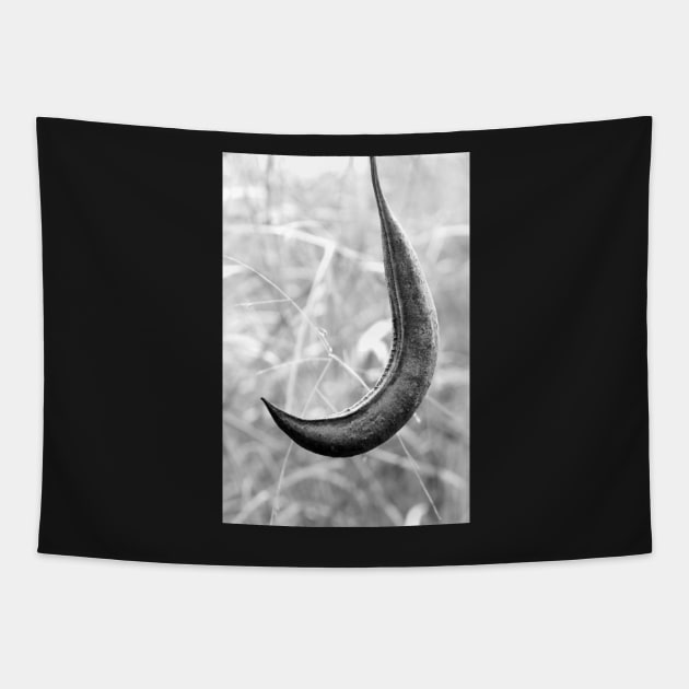 Seed Pod Tapestry by searchlight