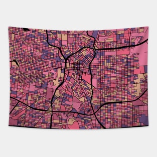 San Antonio Map Pattern in Purple & Pink Tapestry