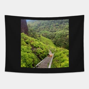 Devils Thumb Stairway Tapestry