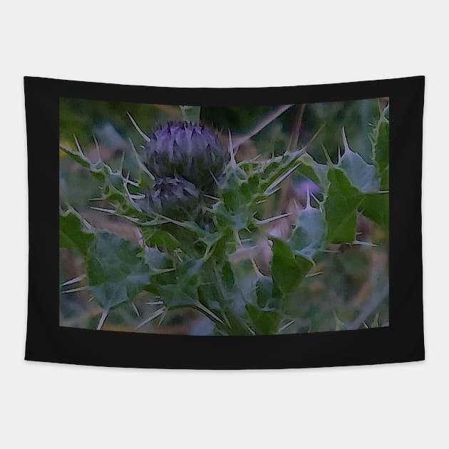 Thistle Buds Tapestry by MagsWilliamson