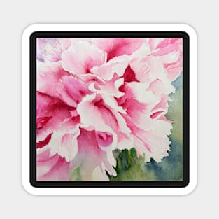 Perfect Pink Peony Magnet