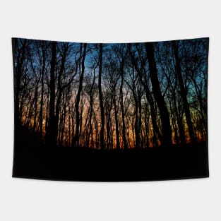 Forest Sunset Tapestry