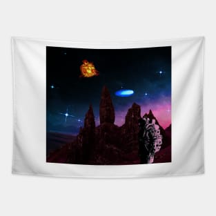 Searching New Worlds Tapestry