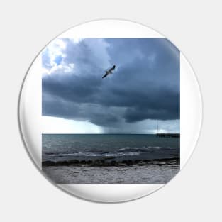 Storm and Gull, Key West Pin